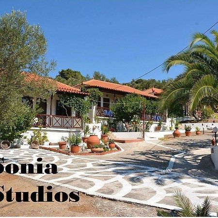Nees Kidonies Sonia Studios חדר תמונה