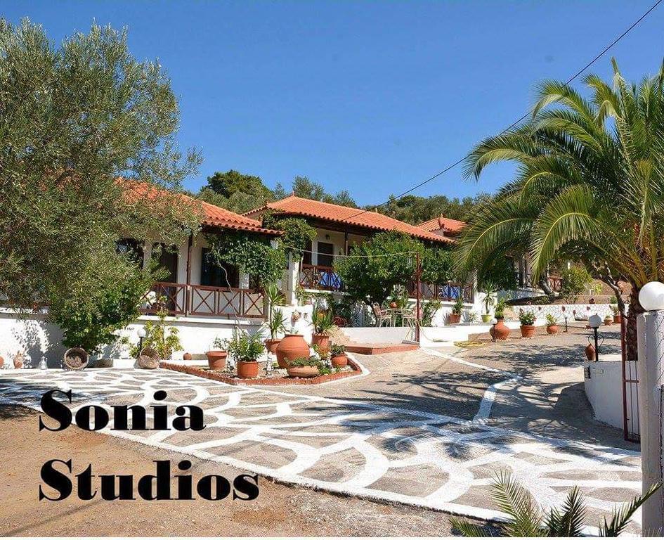 Nees Kidonies Sonia Studios חדר תמונה