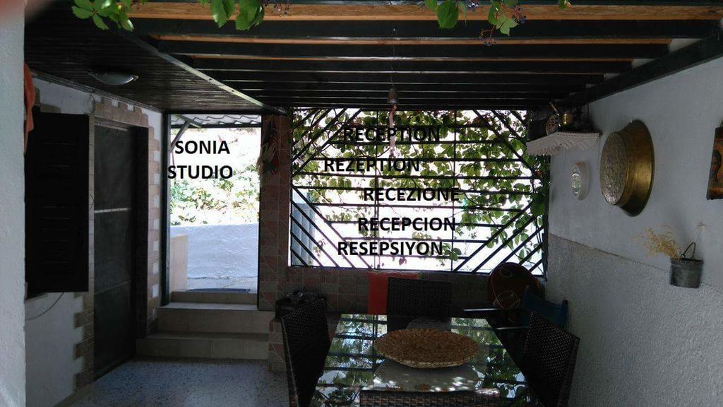 Nees Kidonies Sonia Studios מראה חיצוני תמונה