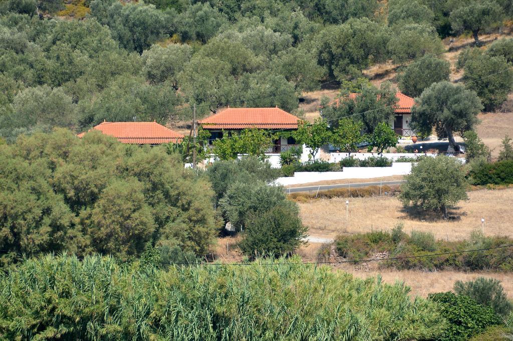 Nees Kidonies Sonia Studios מראה חיצוני תמונה